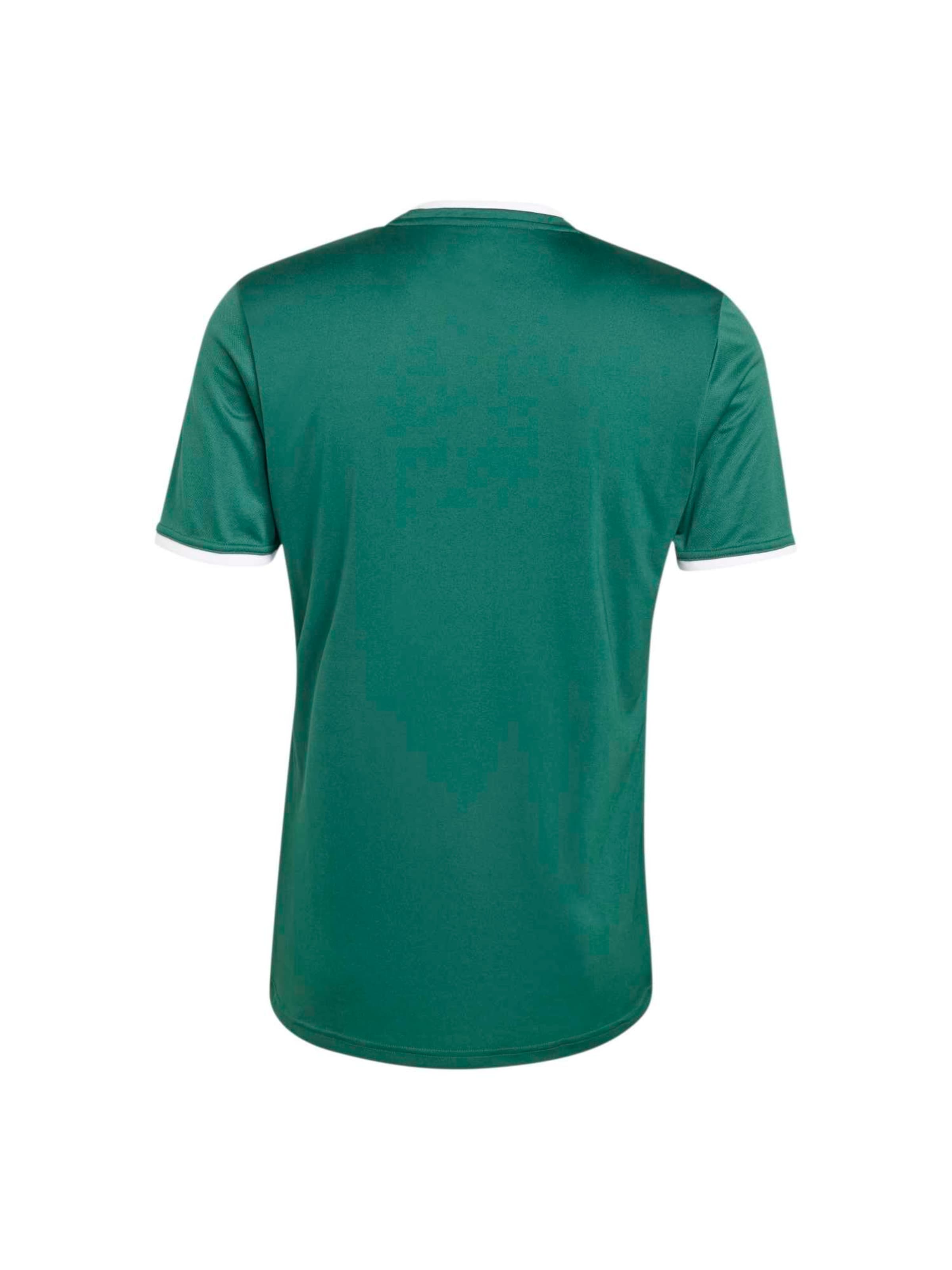 ADIDAS PERFORMANCE Funkcionalna majica 'ENT26' | zelena barva