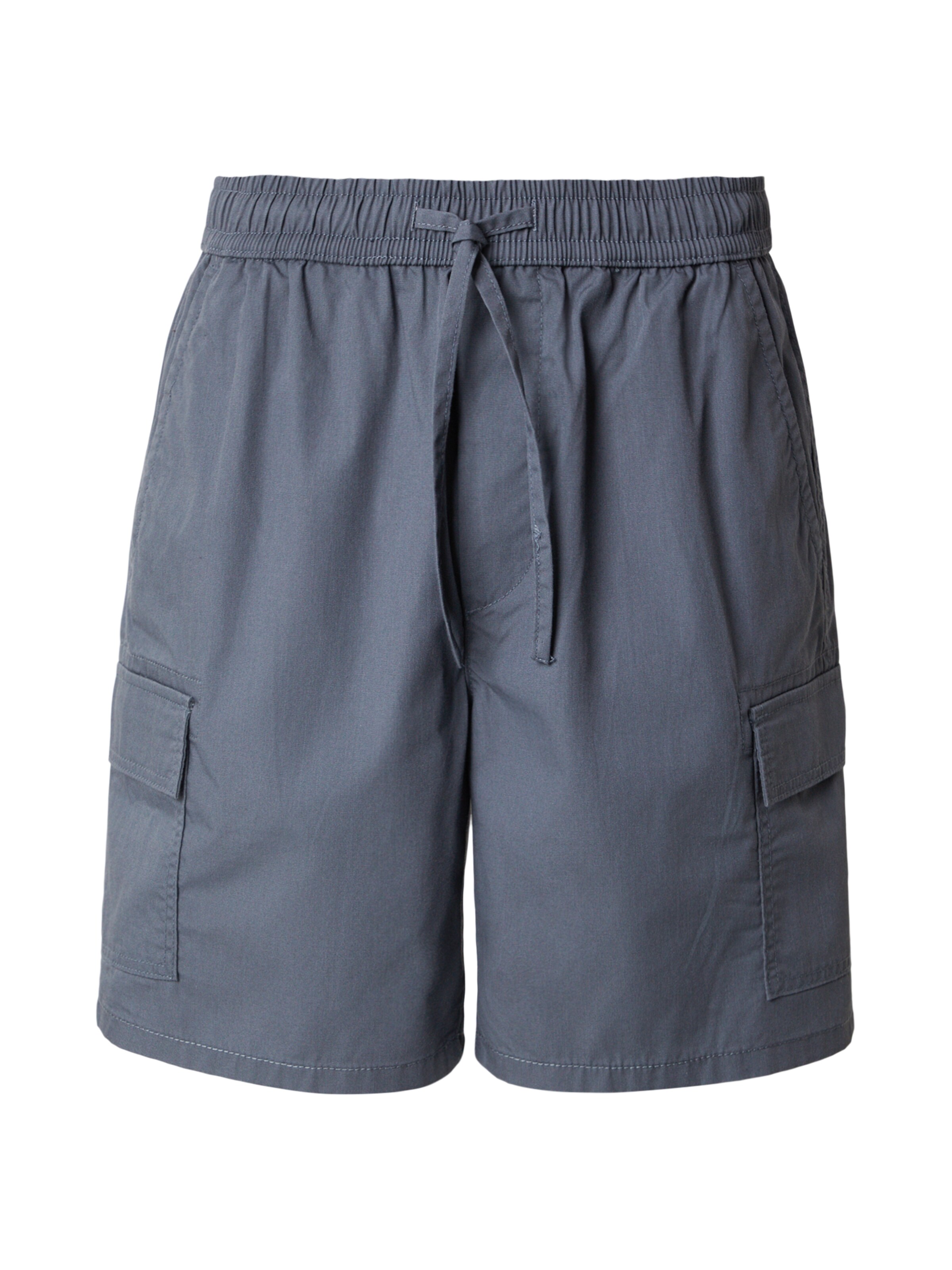 Only & Sons Брюки-карго 'ONSKAL' в Синий: спереди