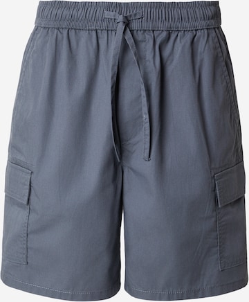 Only & Sons Брюки-карго 'ONSKAL' в Синий: спереди