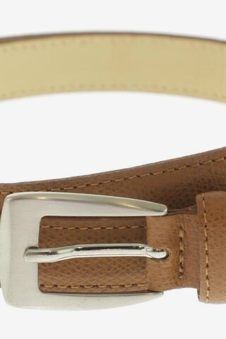 Vera Pelle Belt in One size in Brown
