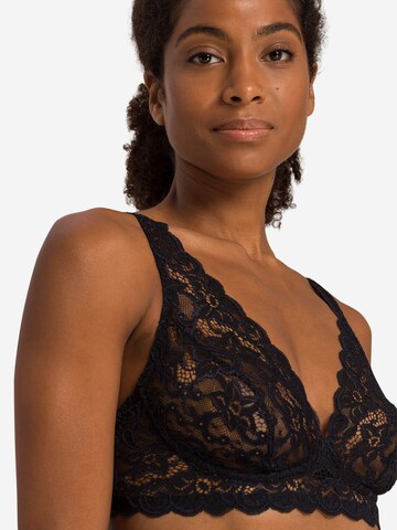Hanro Triangle Bra 'Moments' in Black