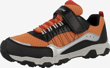 GEOX Sneaker 'Magnetar' in Orange: predná strana