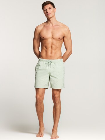 Shiwi Board Shorts 'Nick' in Green