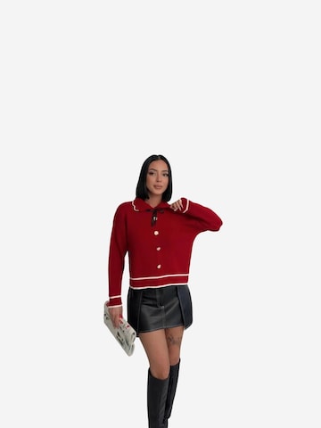 Pullover 'Pullover' di My fashion in rosso: frontale