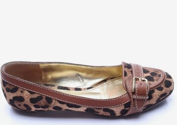 DOLCE & GABBANA Flats & Loafers in 38 in Brown: front