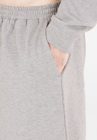 ENDURANCE Tapered Sporthose 'Arlanc unisex' in Grau