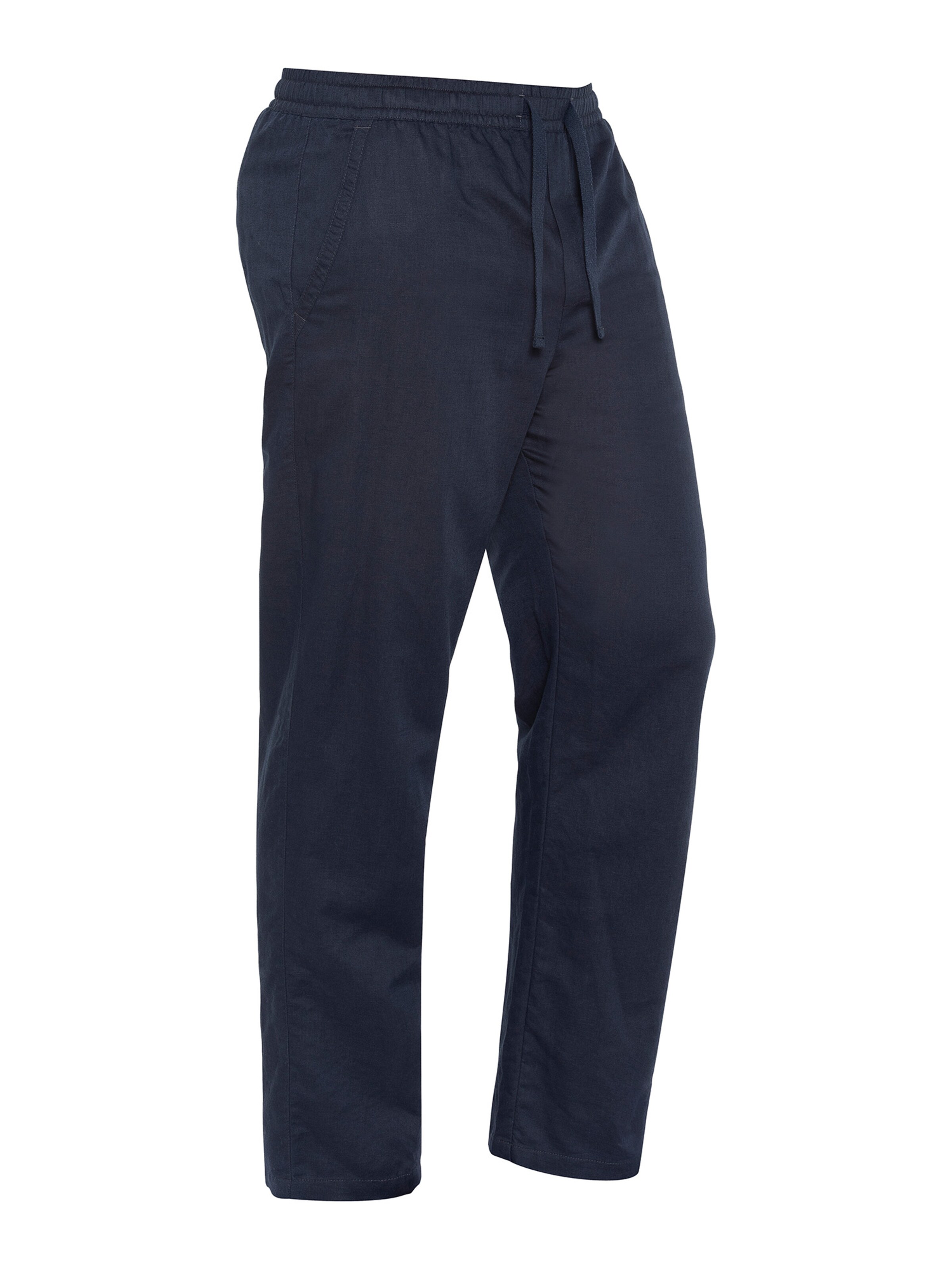 Schott NYC Regular Pants in Blue