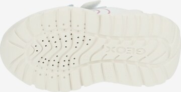 GEOX Sneakers in White