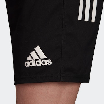 ADIDAS SPORTSWEAR Regular Shorts in Schwarz