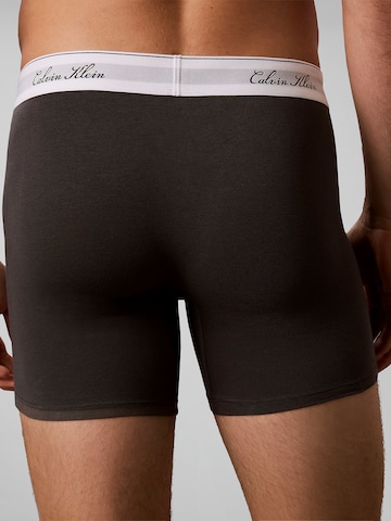 Calvin Klein Boxershorts in Gemengde kleuren