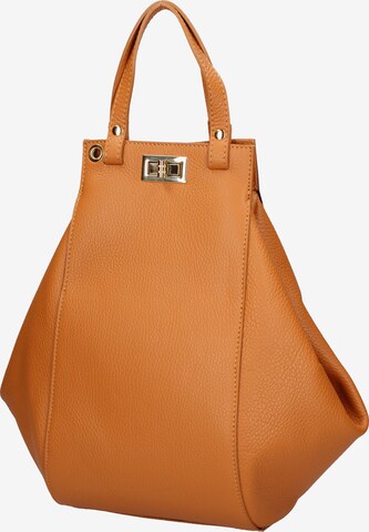 Viola Castellani Handbag in Brown