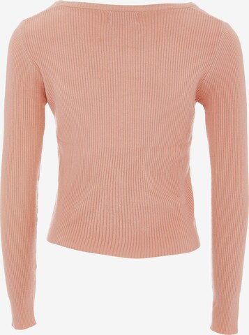 NALLY Pullover in Pink