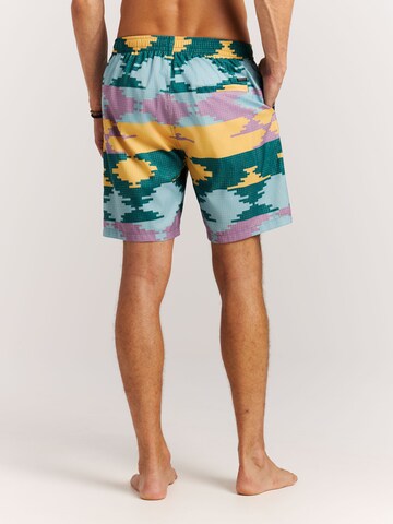 PROTEST Badeshorts 'PRTKeswick'‌‌‌‌‌‌ in Grün