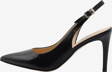 faina Pumps in Black: front