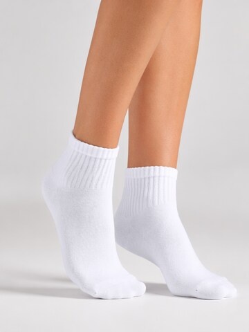 sockenkauf24 Athletic Socks in White