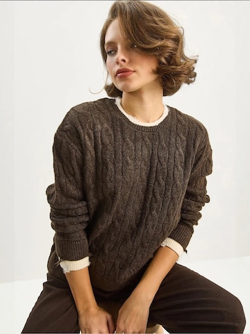 Pull-over 'Pullover' Bianco Lucci en marron : devant