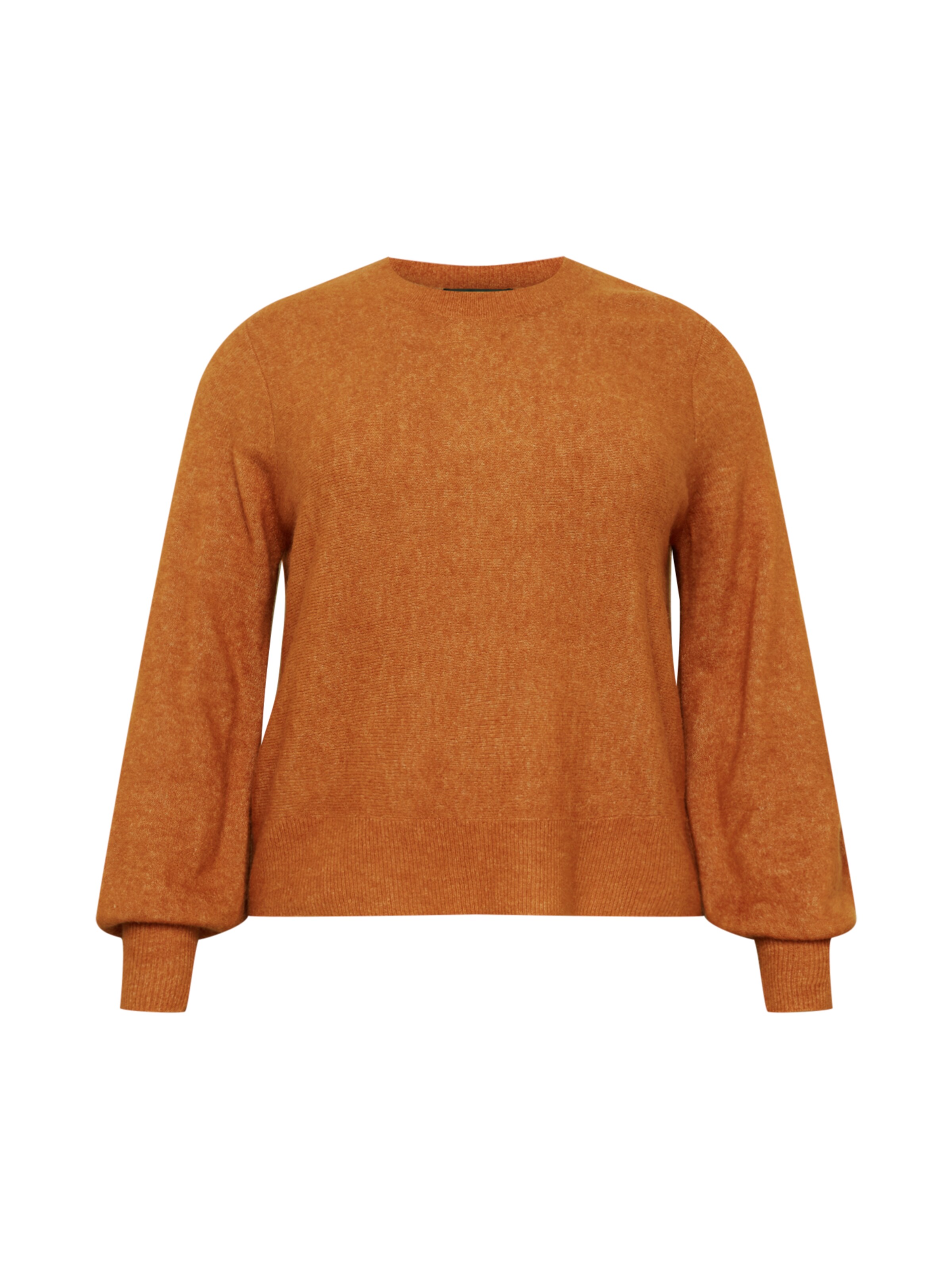 Forever New Curve Πουλόβερ σε καφέ: μπροστά