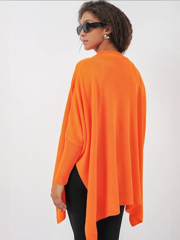 Bigdart Trui in Oranje