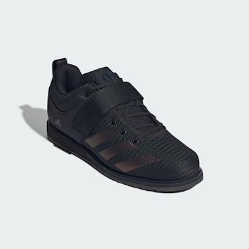 ADIDAS PERFORMANCE Sportschuh 'Powerlift 5' in Schwarz