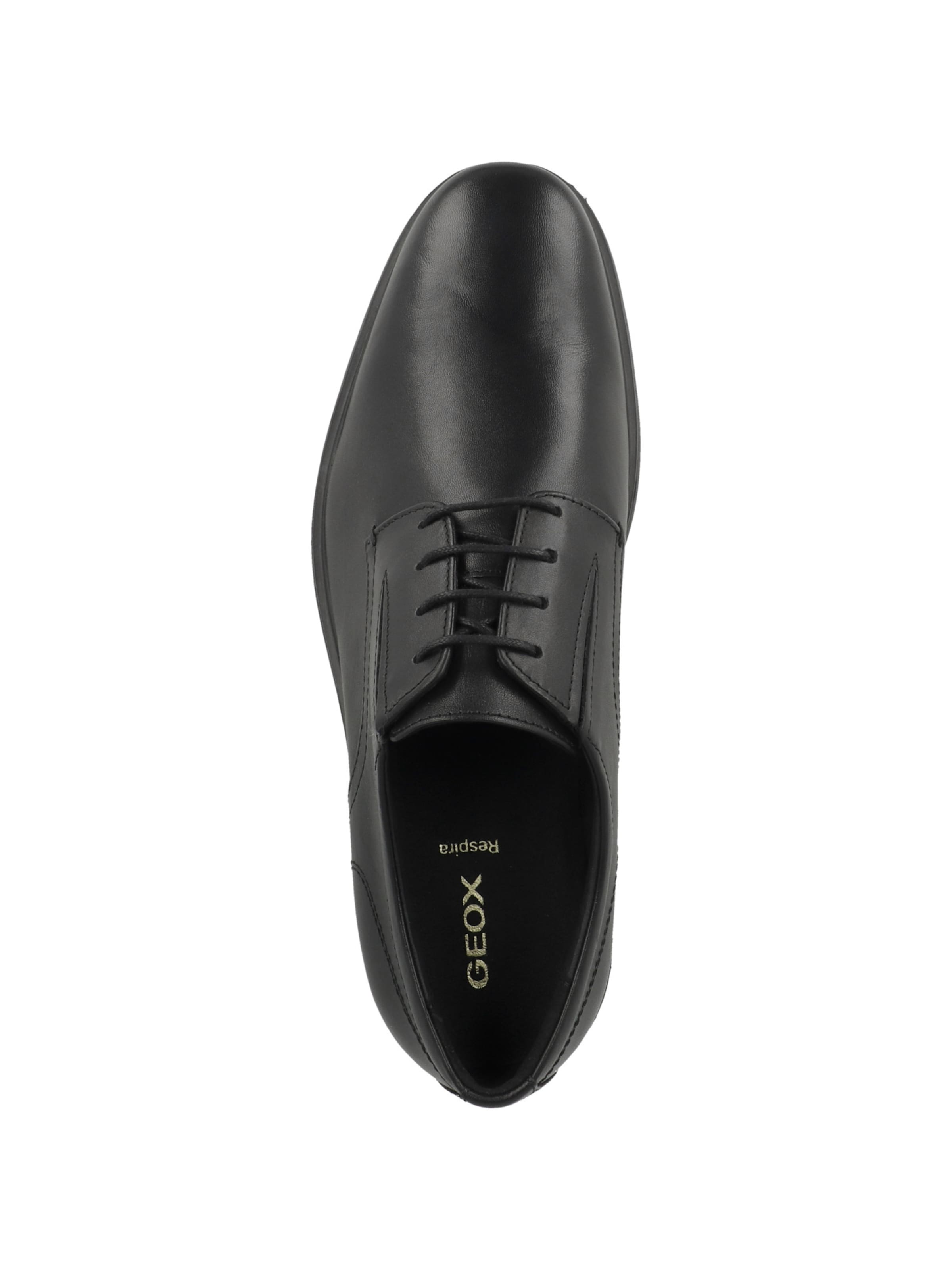 GEOX Veterschoen 'U Dublin' in Zwart