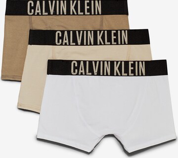 Calvin Klein Underwear Underpants in Beige