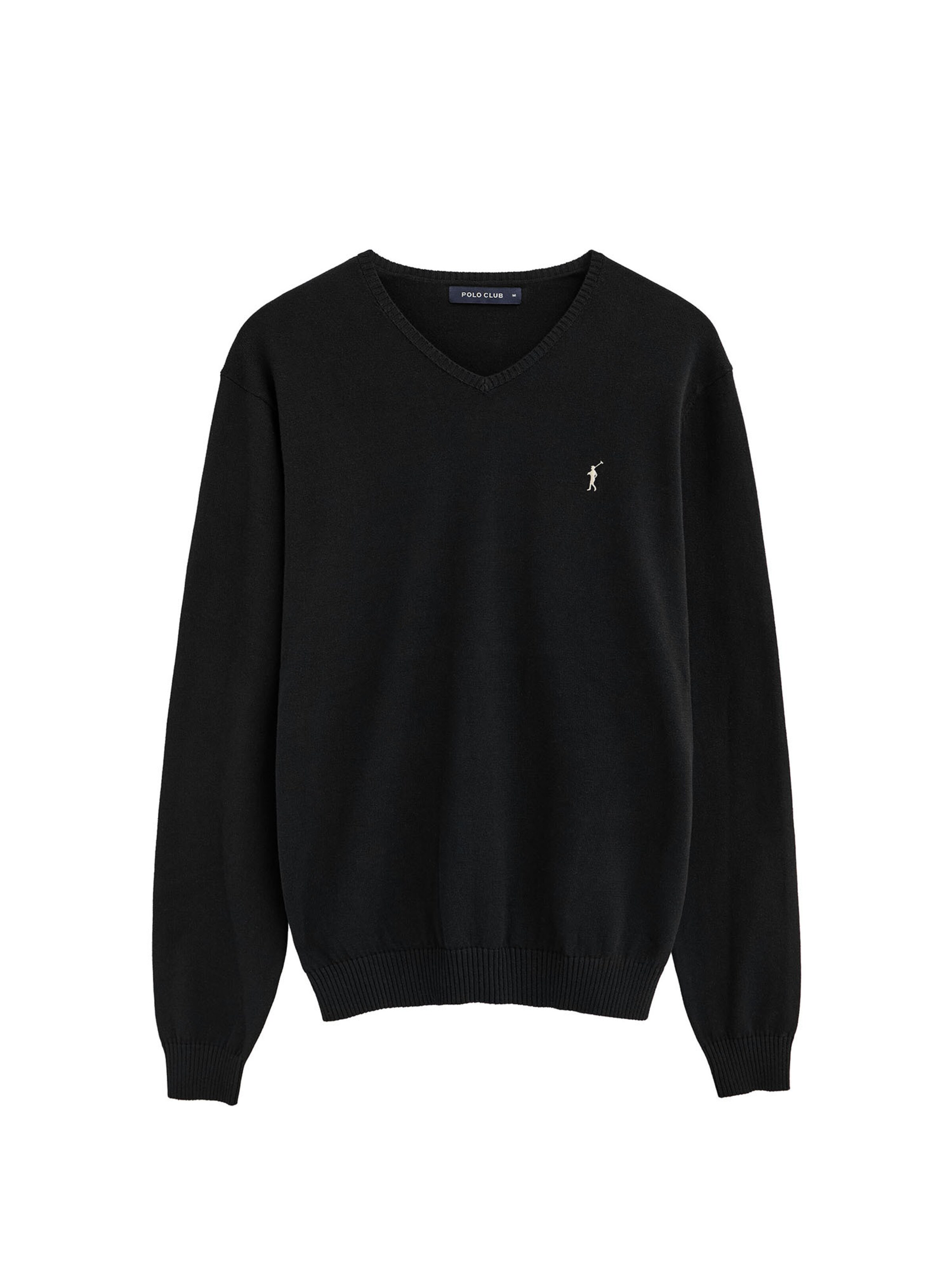 Polo Club Pullover 'Rigby' in Schwarz: Vorderseite