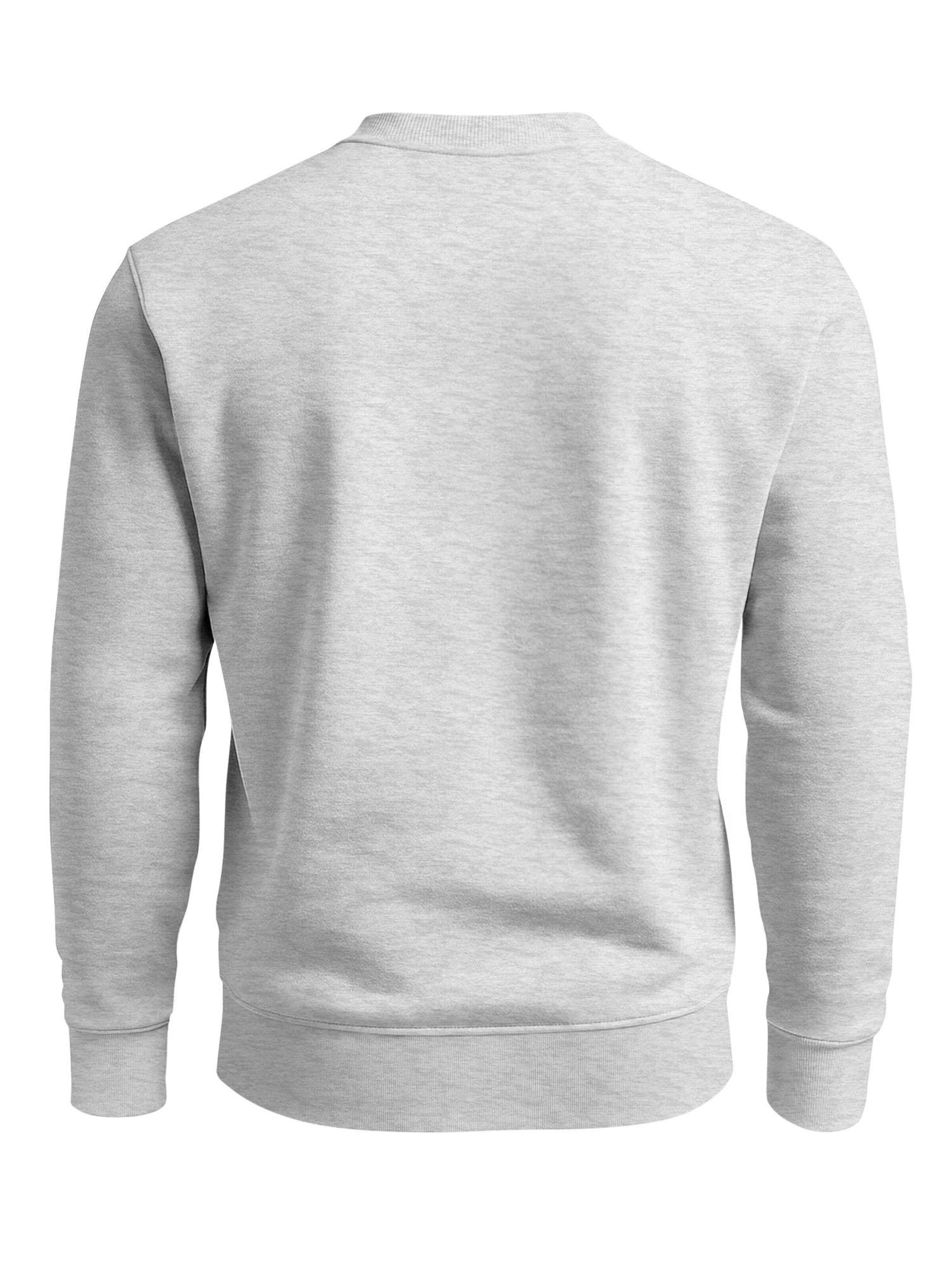 Neverless Sweatshirt 'Kompass' in Grey