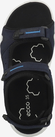 ECCO Open schoenen 'Trinsic' in Blauw