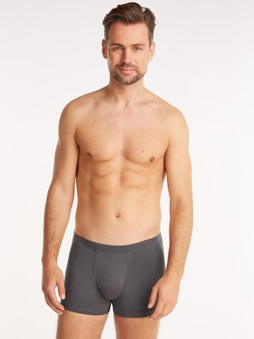 Ten Cate Boxer shorts in Mixed colours