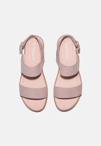 TIMBERLAND Sandals 'Chicago Riverside' in Pink
