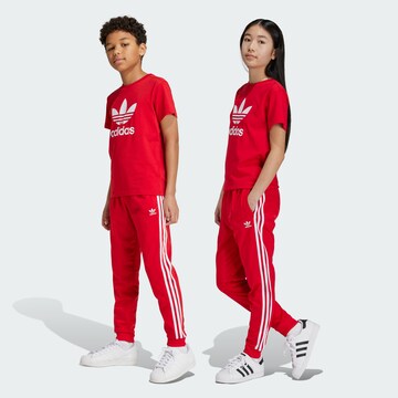ADIDAS ORIGINALS Конический (Tapered) Штаны 'Adicolor Sst' в Красный: спереди