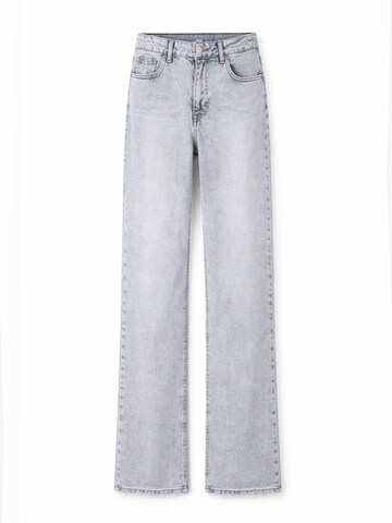 IT'S BASIC Regular Jeans 'EMMA Straight High Rise' in Grijs: voorkant