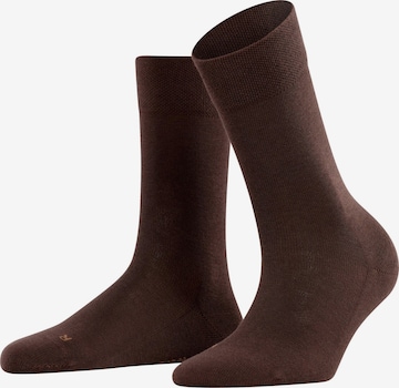 FALKE Socken 'Sensitive London' in Braun: Vorderseite
