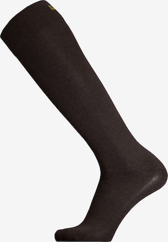 UphillSport Knee High Socks 'KAIHU' in Black: front