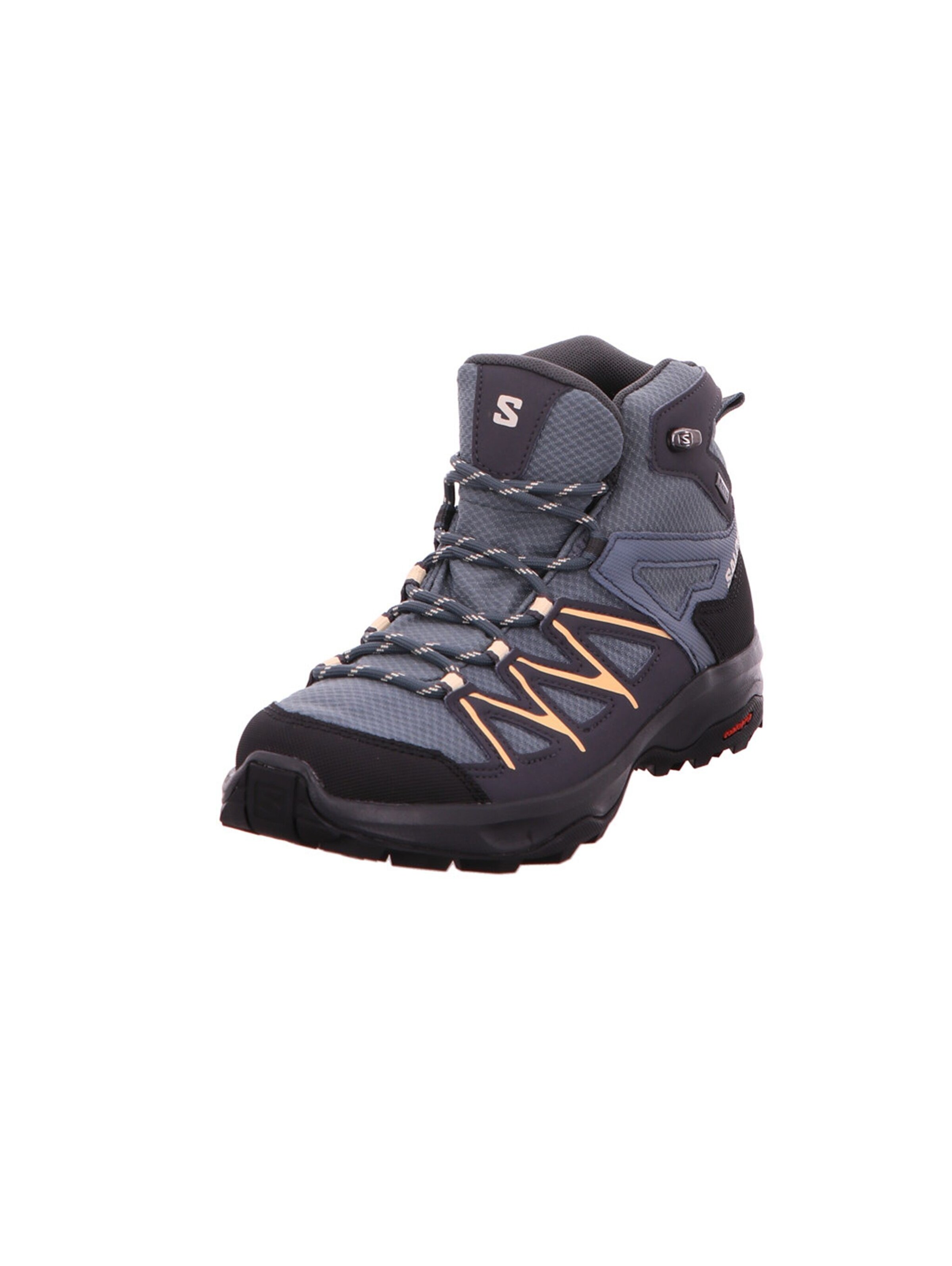 SALOMON Boots 'DAINTREE MID GTX' in Grey: front
