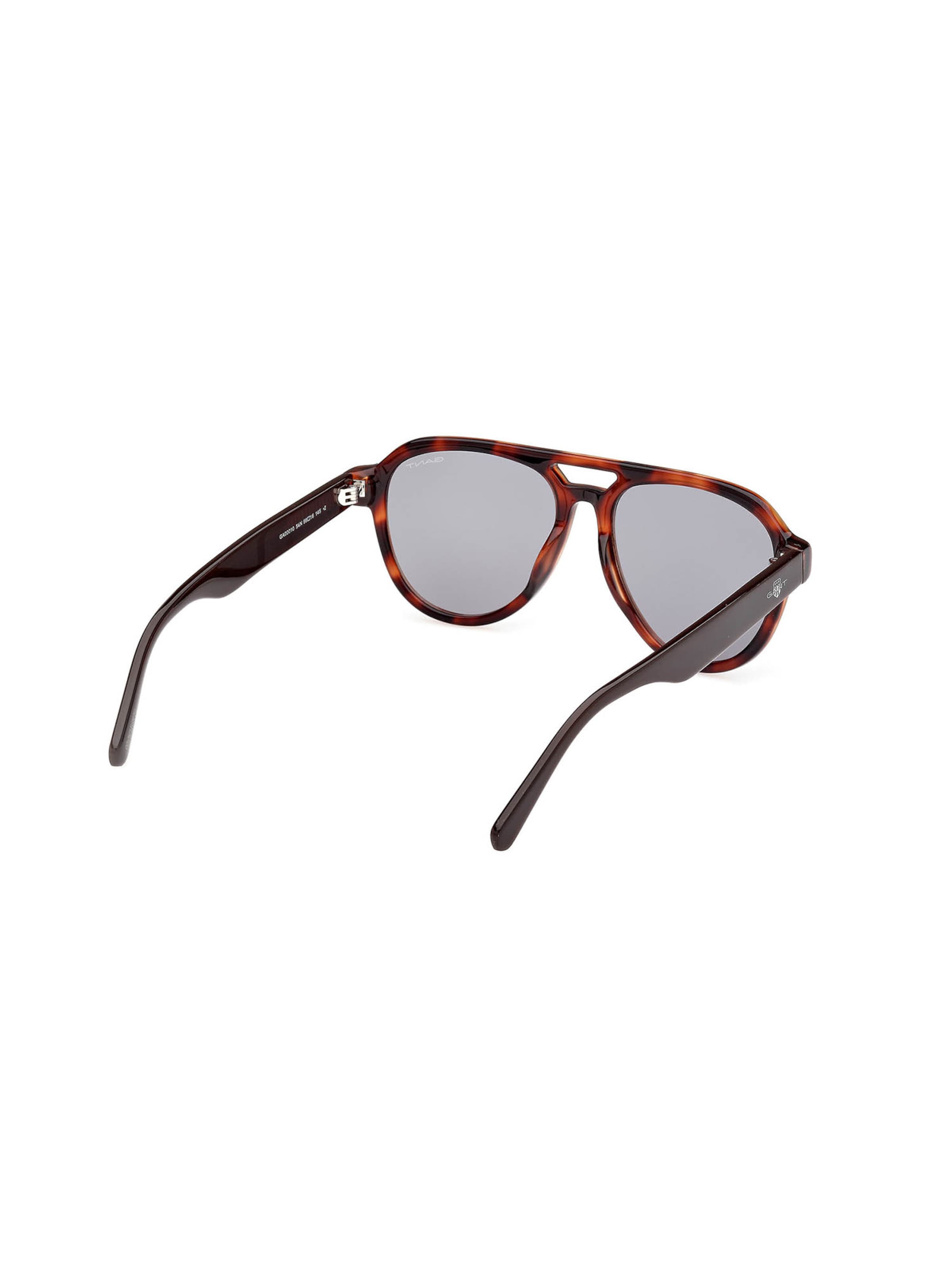 GANT Sunglasses in Brown