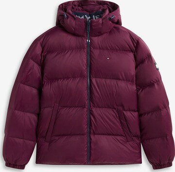 Tommy Jeans Winterjas in Lila: voorkant