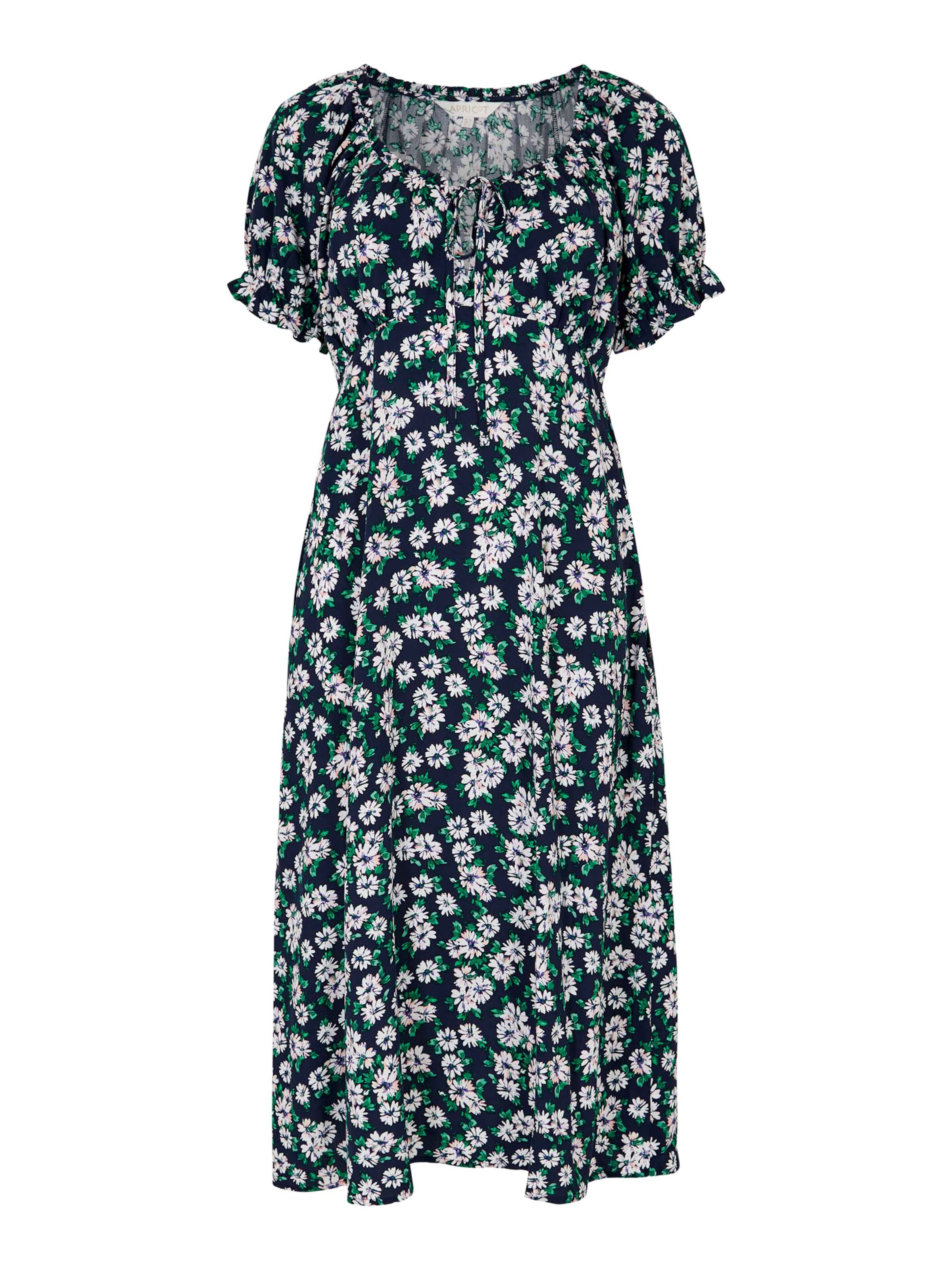 Apricot Jurk in Blauw: voorkant