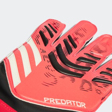 ADIDAS PERFORMANCE Sporthandschoenen 'Predator' in Zwart