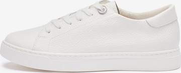 RYLKONiske tenisice - bijela boja: prednji dio