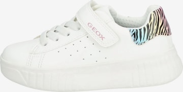 GEOX Sneakers in Wit