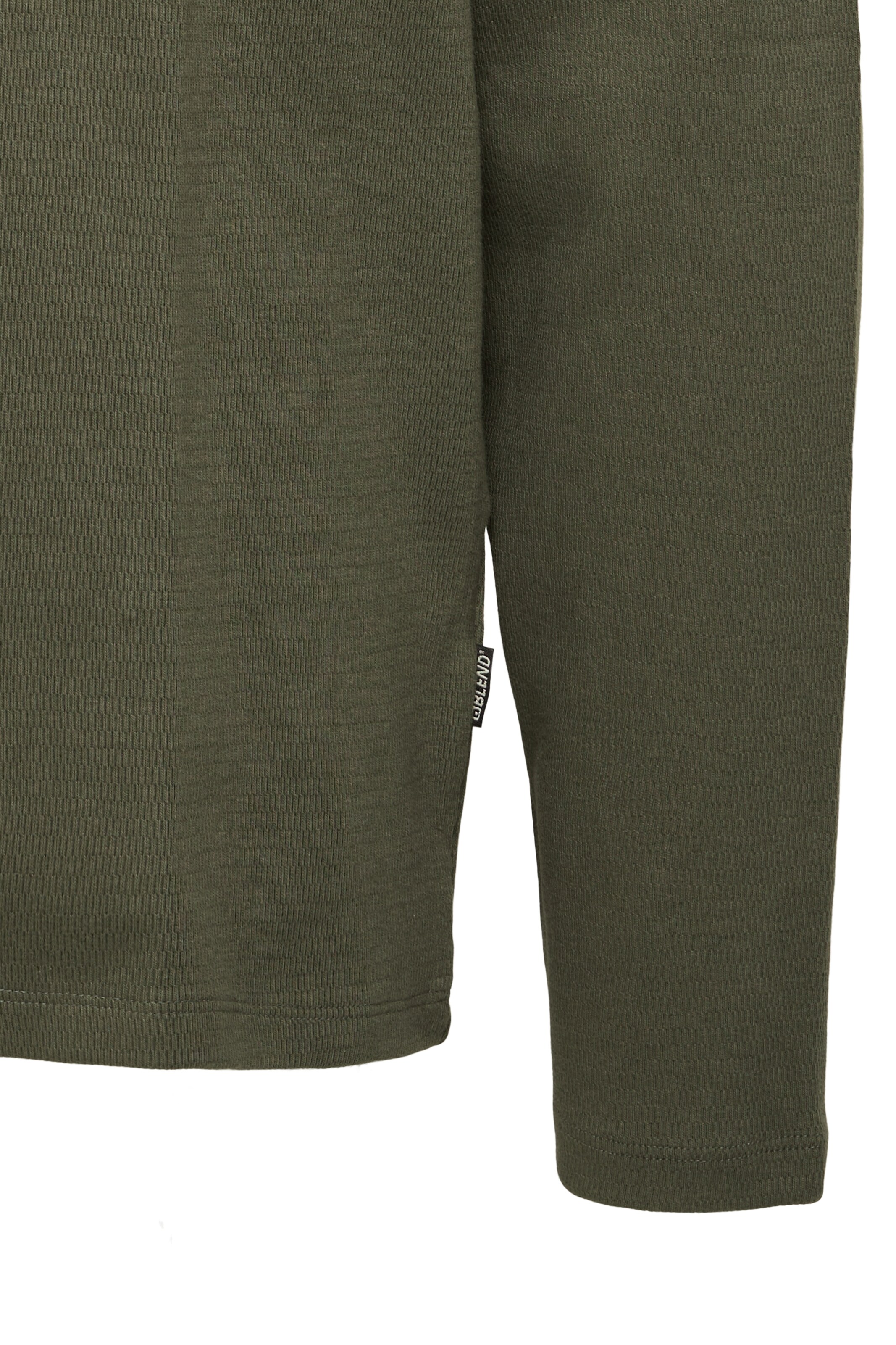 BLEND Koszulka 'BHLEWIS' w kolorze zielony