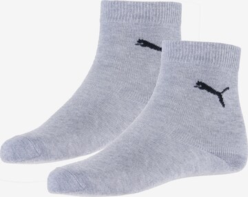 PUMA Socken 'Easy Rider' in Grau: predná strana