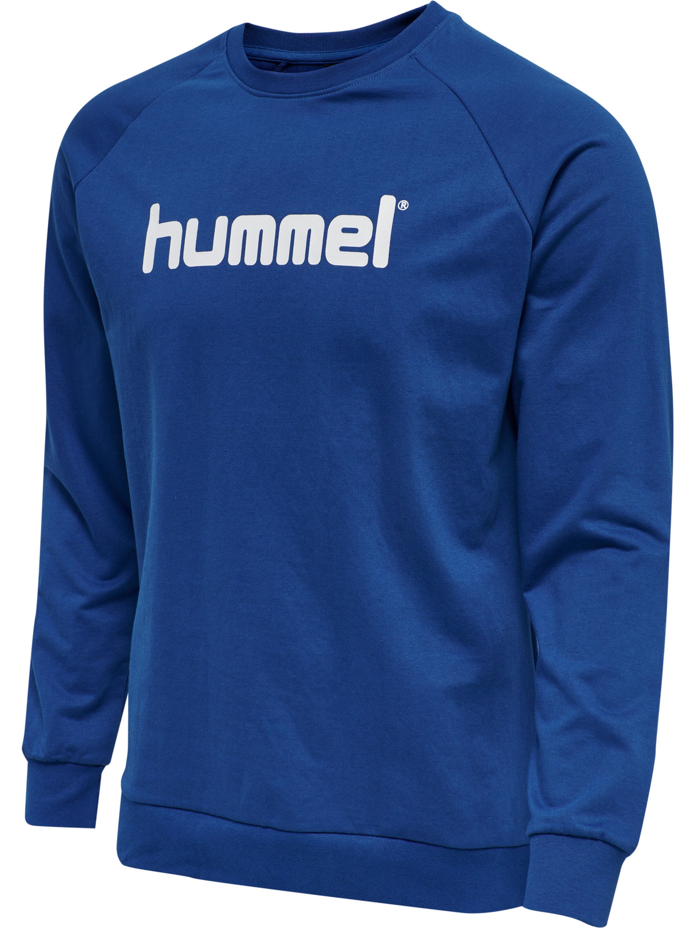 Hummel Athletic Sweatshirt in Blue