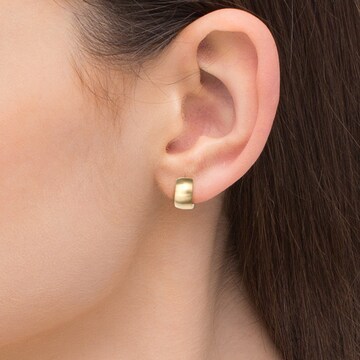 Heideman Earrings in Gold: front