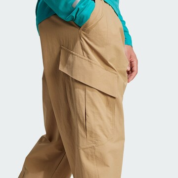 Loosefit Pantalon outdoor 'Xploric' ADIDAS TERREX en marron