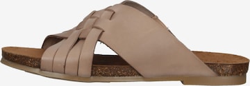 COSMOS COMFORT Mules in Brown