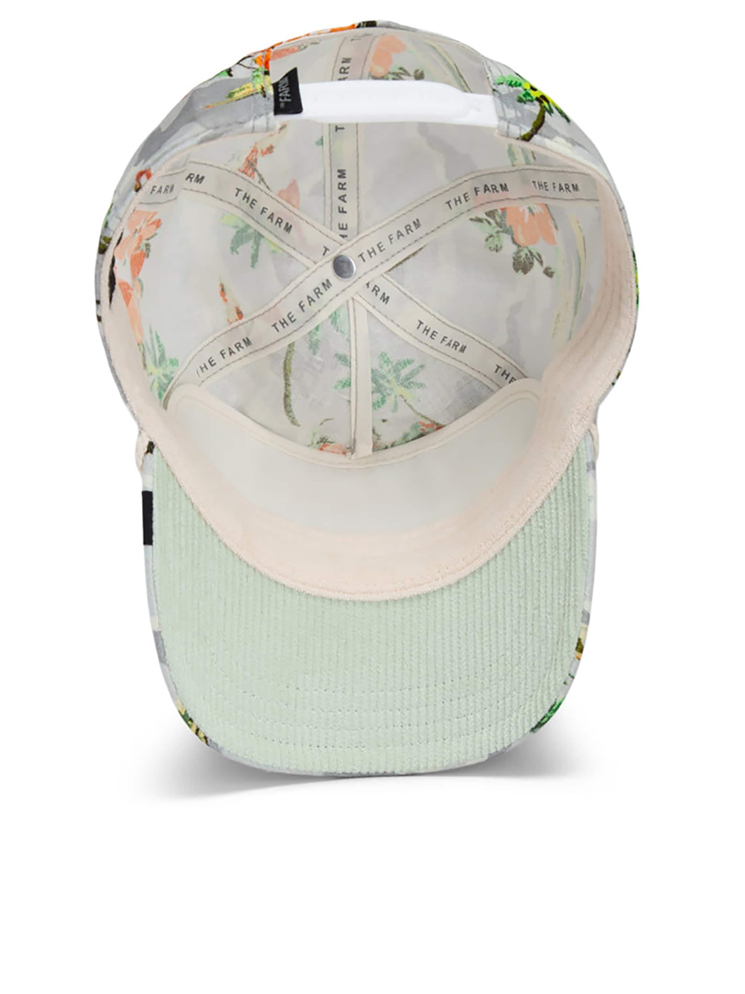 GOORIN Bros. Cap 'Nailed It' in Mixed colors