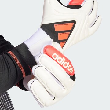 Gants de sport 'Copa Pro' ADIDAS PERFORMANCE en blanc