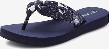 LASCANAJapanke - plava boja: prednji dio